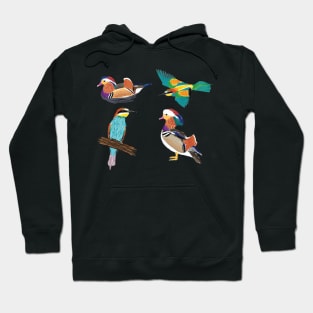 Nice Artwork showing a Mandarin Duck III Hoodie